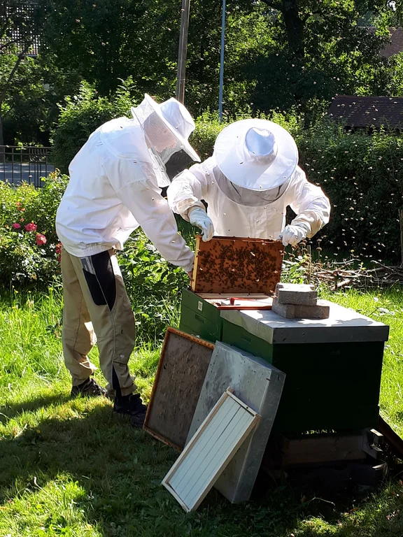 2023_08_Arbeit_am_Bienenstand.jpg 