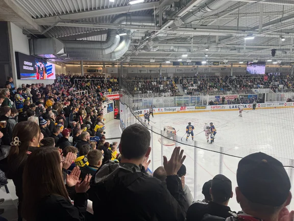 WSW_Eishockey3.jpg 