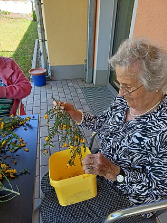 Blumenzupfen in Neusorg