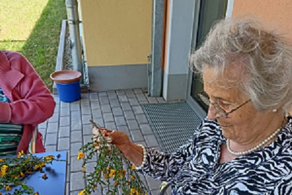 Blumenzupfen in Neusorg